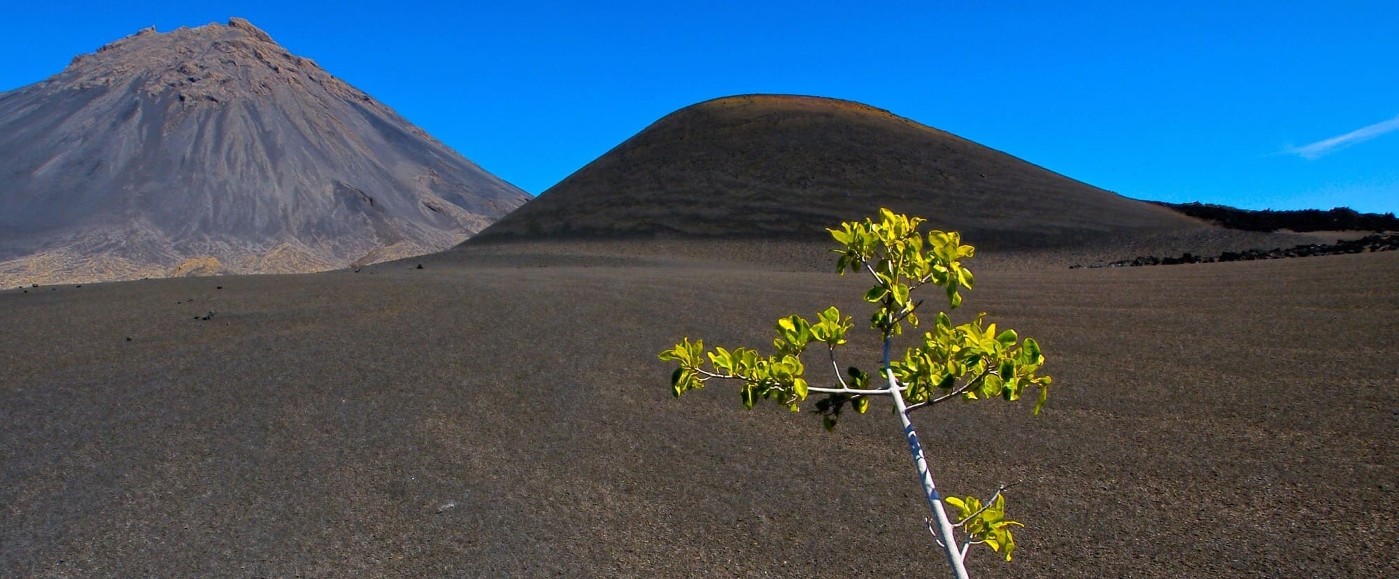Cha das Caldeiras - Fogo - Cap Vert