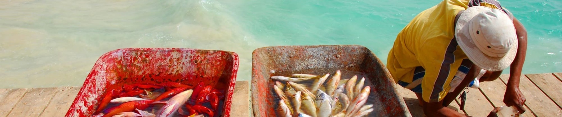 Pêcheur et poisson frais à Santa Maria, Ile de Sal, Cap Vert