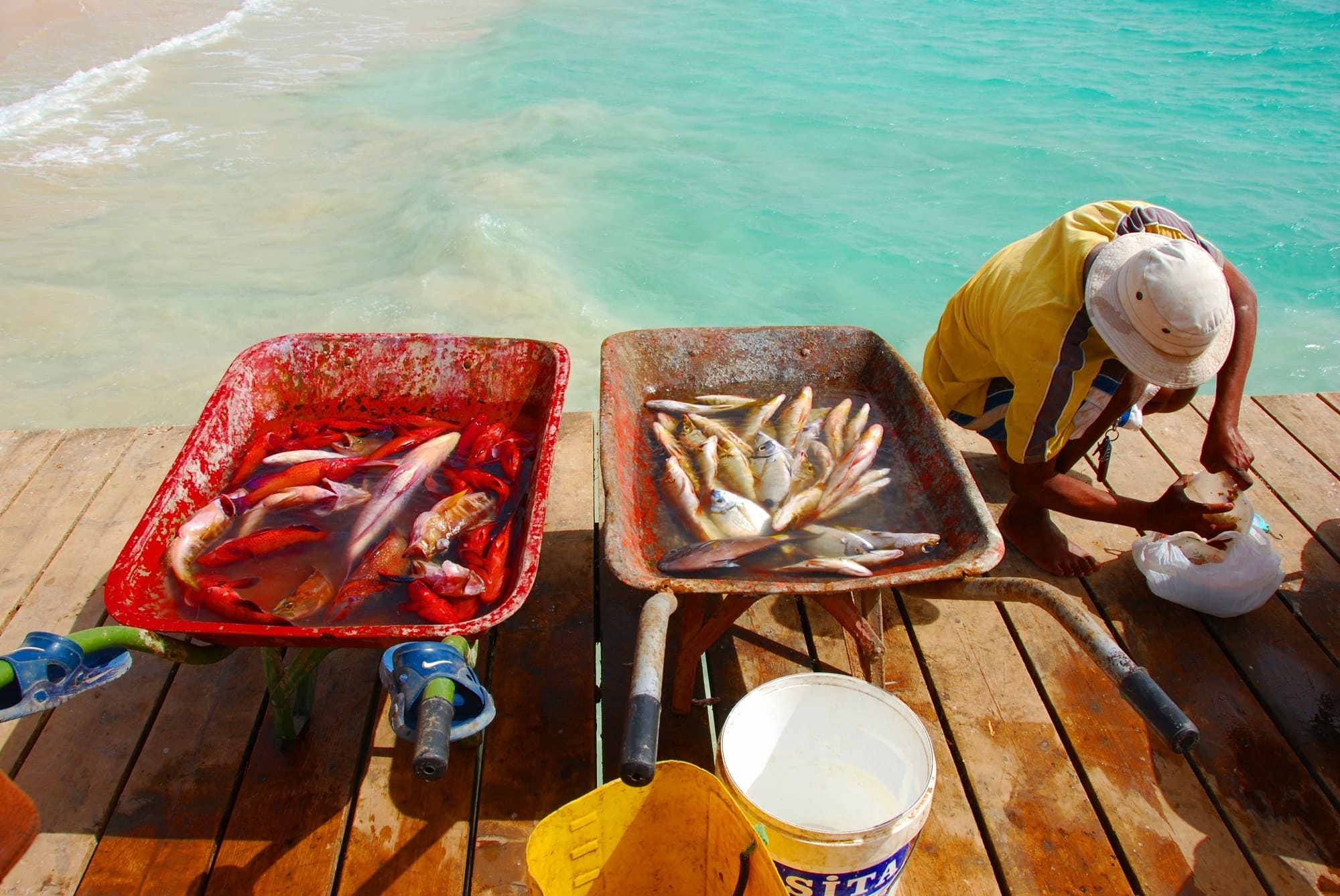 Pêcheur et poisson frais à Santa Maria, Ile de Sal, Cap Vert