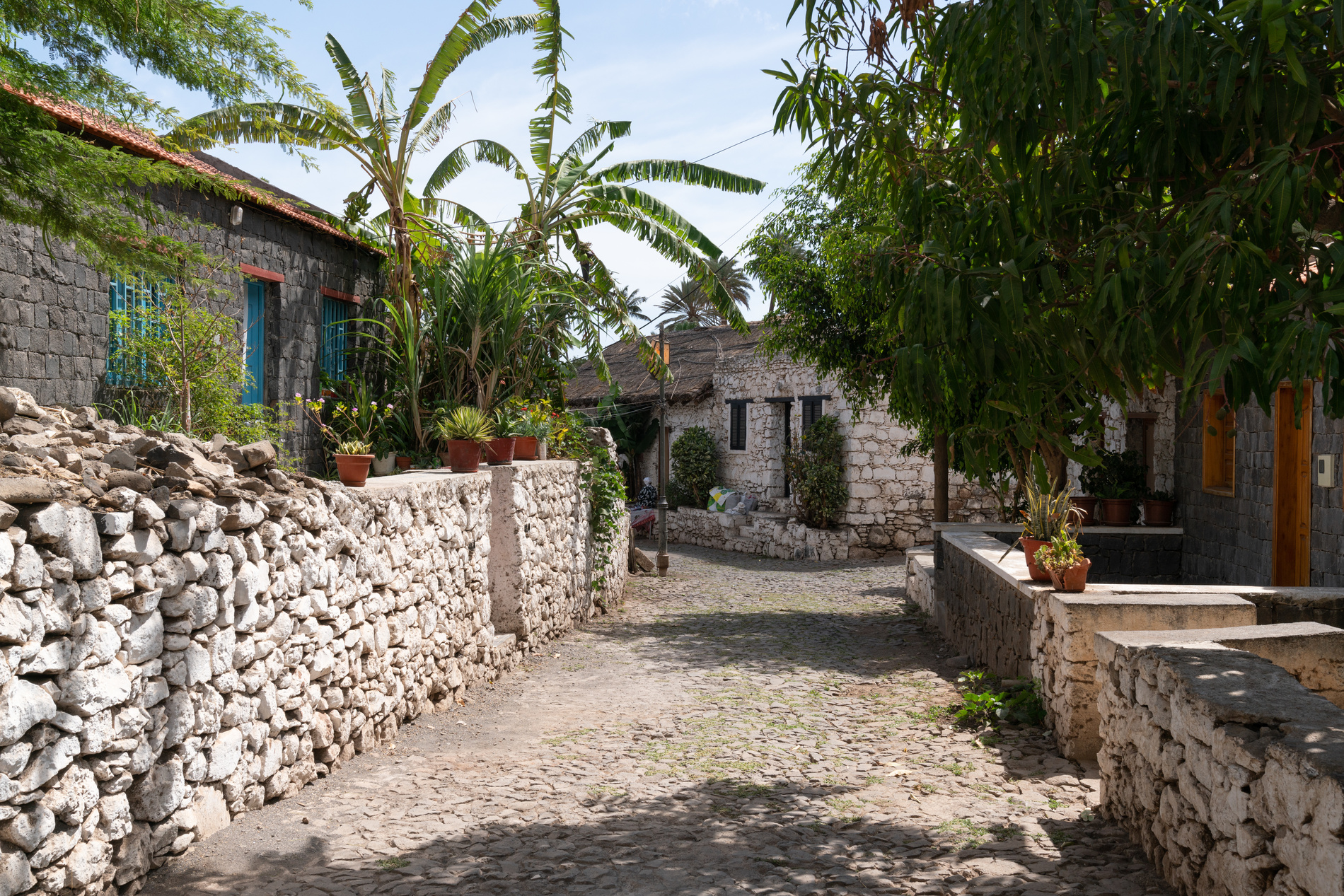 Îles du Cap-Vert