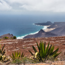 Monte verde São Vicente